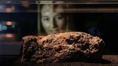 Pedaço do iceberg de gordura encontrado em 2017, em exibição no Museu de Londres