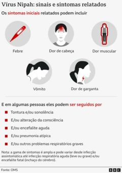 Arte mostra sintomas da infecção por Nipah