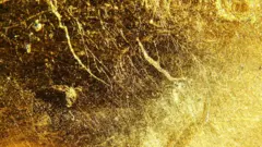 திருவண்ணாமலை, தங்கம், தமிழ்நாடு, லித்தியம்