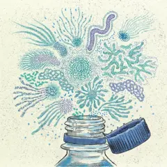 Ilustração de uma garrafa de plástico.