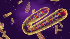 မားဘာ့ဂ် ဗိုင်းရပ်စ်ပိုး၊ ကူးစက်မြန်ရောဂါ၊ အာဖရိက၊ 