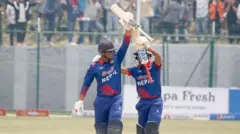 क्रिकेट 