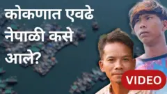 कोकणात मासेमारीसाठी आणि आंब्याच्या बागांमध्ये काम करायला येणारे नेपाळी कामगार कसे राहतात?