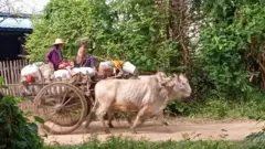 စစ်ရှောင်ကြတဲ့ဒီပဲယင်းဒေသခံအချို့ ( ပုံဟောင်း) 