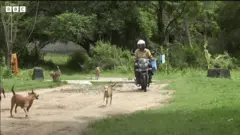 සුනඛයින් යනු වසර දහස් ගණනක සිට මිනිසා සමීපයේ සිටින සත්ත්වයෙකි.