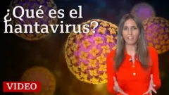 Qué es el hantavirus