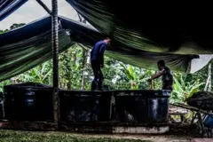 Un sitio de fabricación de pasta de coca en Colombia