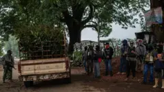 Autodefensas en Michoacán