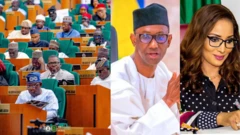 PFIPC: Ụlọomeiwu Nnọchiteanya agwala Ribadu, Ojukwu ka ha bịa zara ọnụ ha
