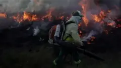 Uma pessoa colocando fogo em vegetação