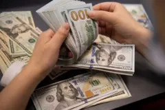 ဒေါ်လာ ၁၀၀ တန် အရွက်များ