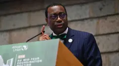 ዶ/ር አኪንውሚ አዴሲና