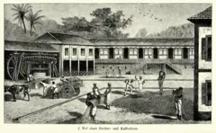 Dezenas de escravizados trabalham em várias etapas da produção agrícula, em pátio aberto, com casarão ao fundo