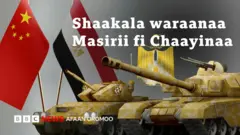 Shaakala waraanaa
