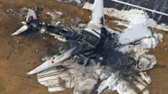 Restos el avión calcinado