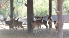 प्रातिनिधिक फोटो
