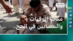 وفيات حجاج 2024