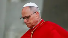 البابا لاون الرابع عشر