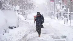A person walks through a snow filled street carrying a bundle of pink flowers