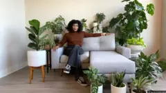 코로나19 시대 실내에 식물을 배치하는 '바이오필릭' 디자인이 각광받고 있다