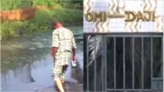Omi Daji
