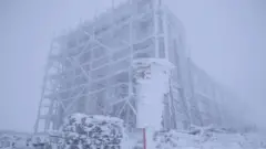 сніг