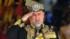 السلطان محمد الخامس