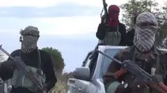 One faction of Islamist group Boko Haram now fights under the banner of "Islamic State West Africa Province"