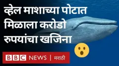 येमेनमधली ही घटना आहे. त्यानंतर इथल्या मच्छिमारांचं आयुष्यच बदललं आहे.