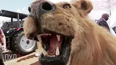 هدايا غريبة يتبادلها زعماء العالم