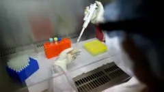 Un investigador en un laboratorio trabajando con una muestra de coronavirus en Argentina.