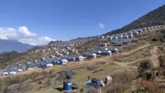 घरहरू