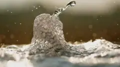 પાણી