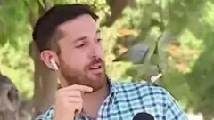 चिली