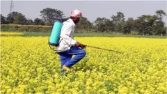 ખેડૂત