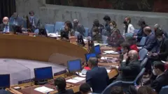 Заседание Совета безопасности ООН
