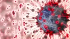 ਕੋਰੋਨਾਵਾਇਰਸ