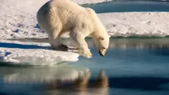 சுவாசிக்க முடியாமல் திணறும் பெருங்கடல்கள் - ஓர் எச்சரிக்கை