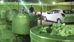تلاش برای محرم بدون پلاستیک