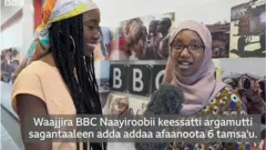 Gaazexeessitoota BBC Shaarooniifi Daraartuu
