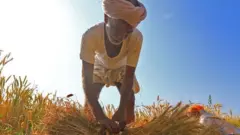 tamilnadu politics caste agriculture