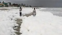 ফেনায়িত সৈকত