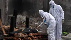 مړه