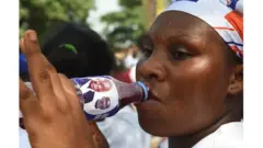 Les milices d'autodéfense et celles des partis politiques interdites au Ghana