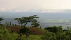የአርሻ ቦታ
