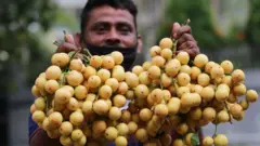 লটকন