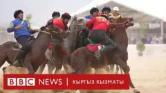 Көкбөрү