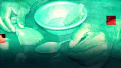 肺炎疫情：新冠病毒會引發食物危機嗎