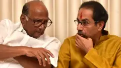 शरद पवार, उद्धव ठाकरे