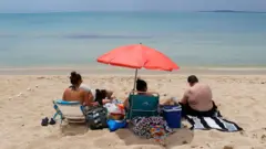Namoota galaana cina ta'aan